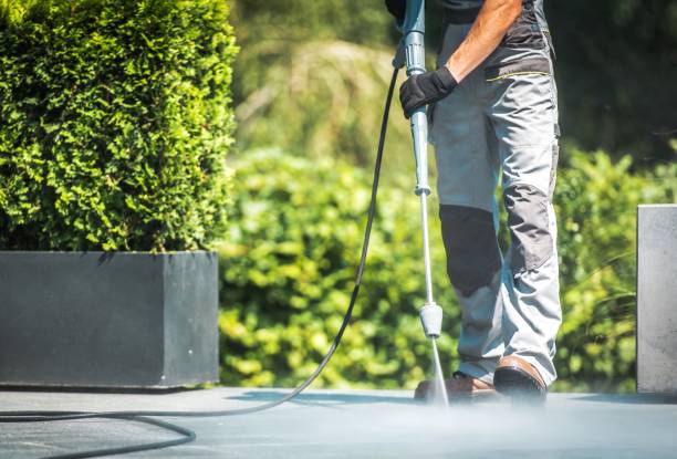 Best House Exterior Washing  in Benson, NC